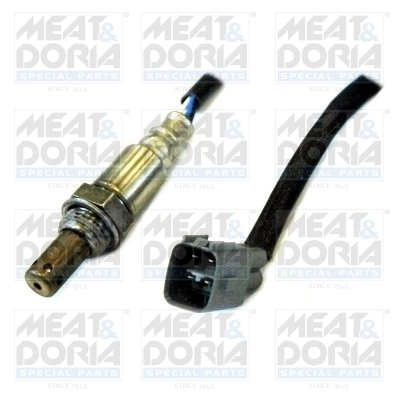 Oxygen Sensor